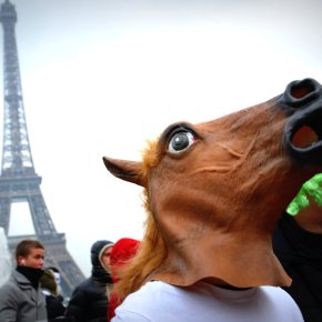 HARLEM SHAKE: la dance mania che ha contagiato il&nbsp;web